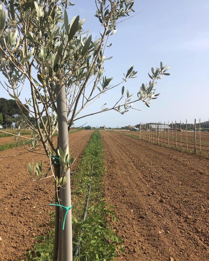 Agriturismo Donna Germana Cirò Marina Kültér fotó